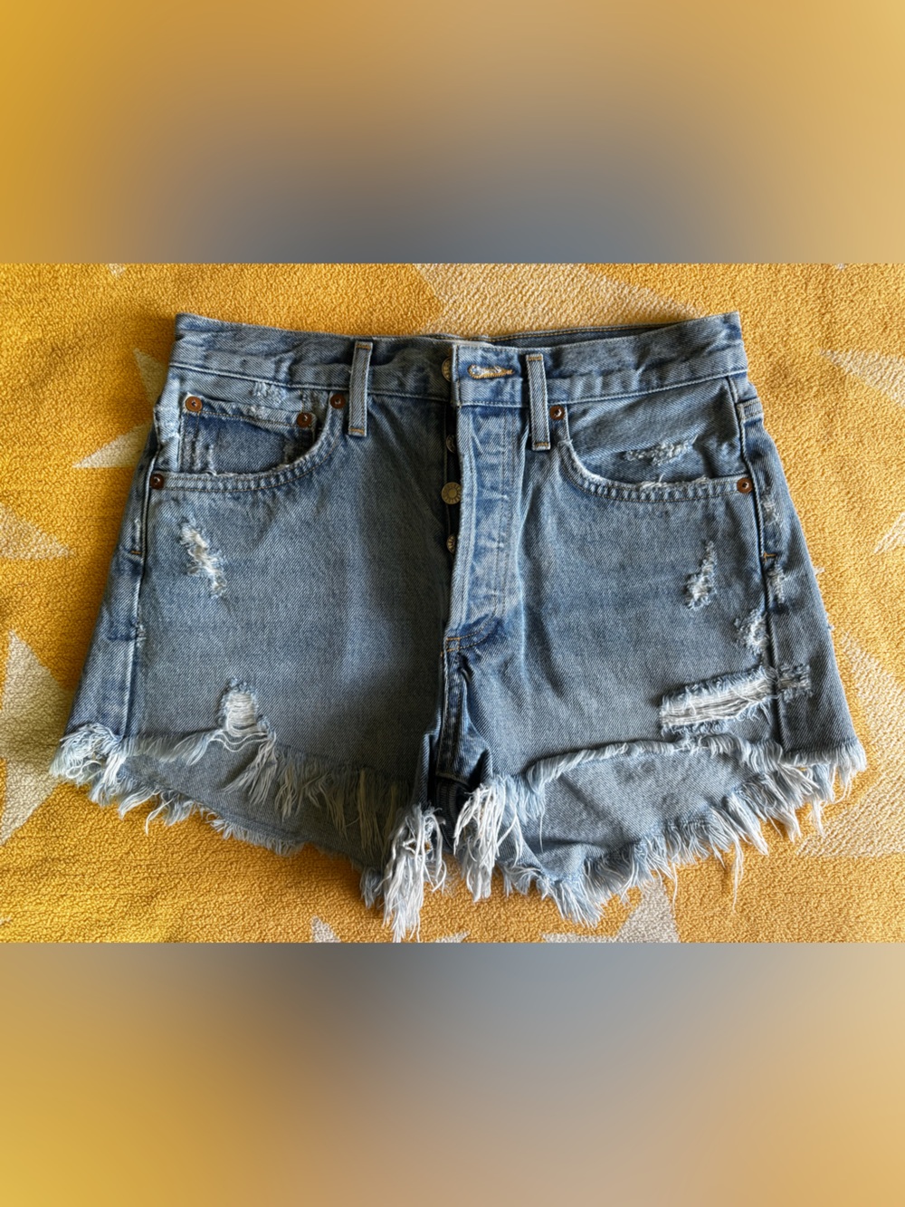 Agolde Parker Denim Shorts